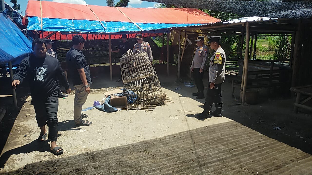 Tindak Tegas! Polres Ponorogo Bubarkan 3 Titik Judi Sabung Ayam dan Dadu